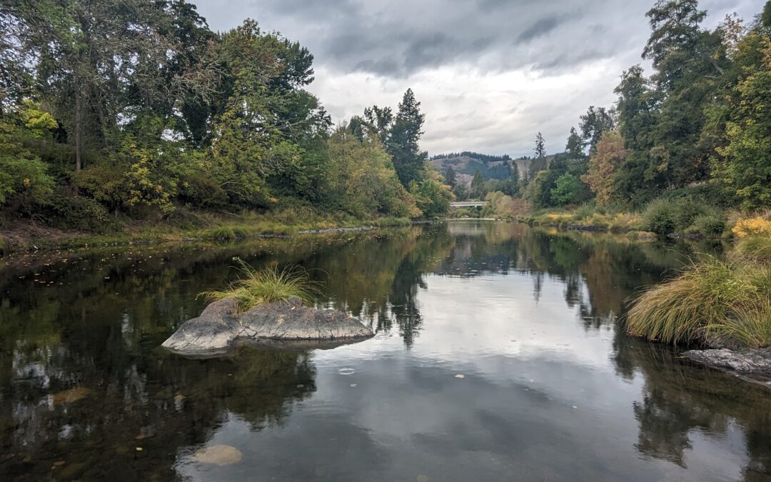 A picture of the South Umpqua River surrounded by trees with an overcast sky overhead