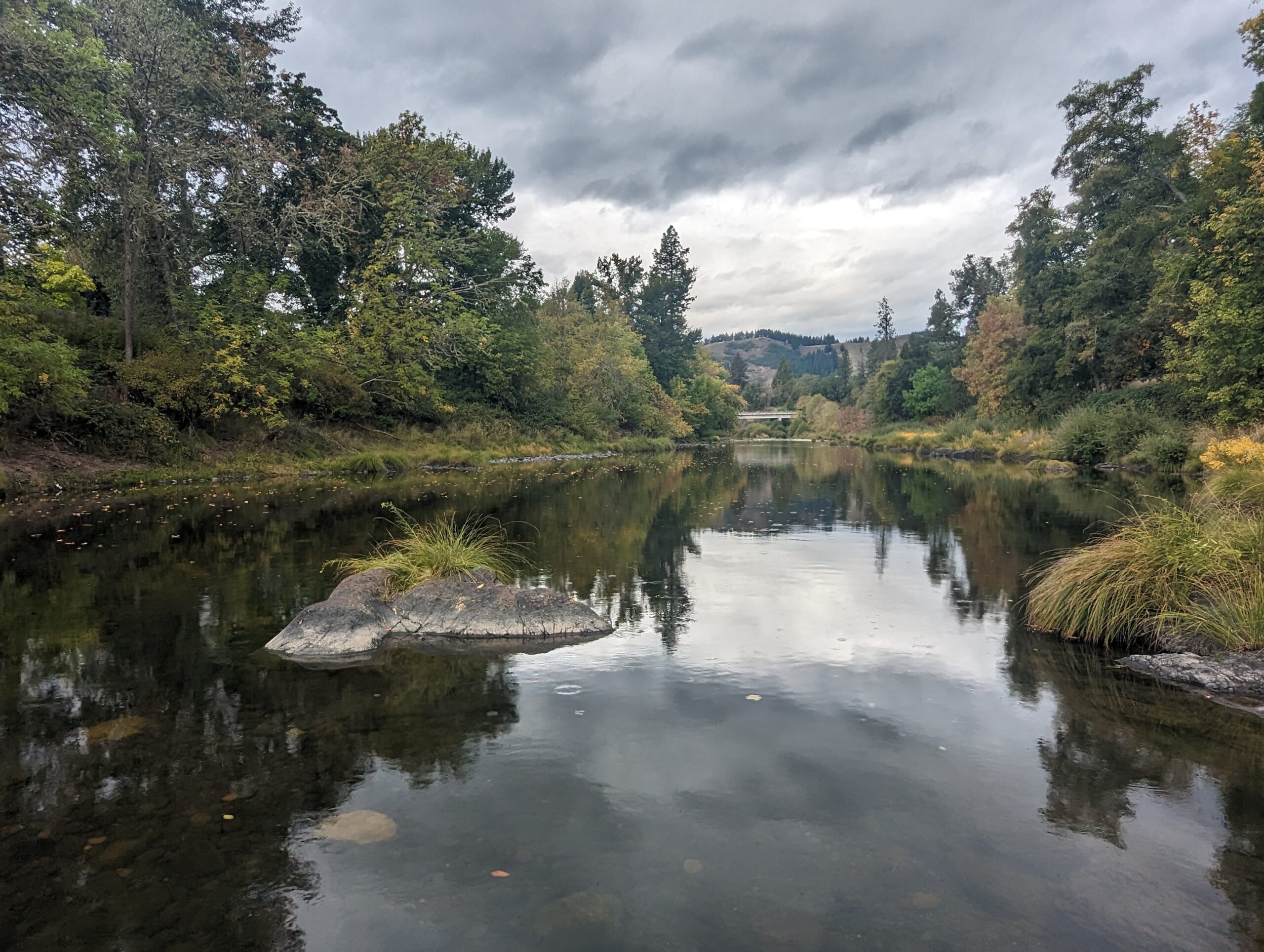 A picture of the South Umpqua River surrounded by trees with an overcast sky overhead